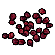 Red Berry Seed