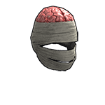 Wrapped Brain