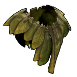 Banana Leaf Poncho