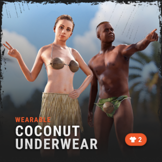 Skin: Coconut Underwear • Rust Labs
